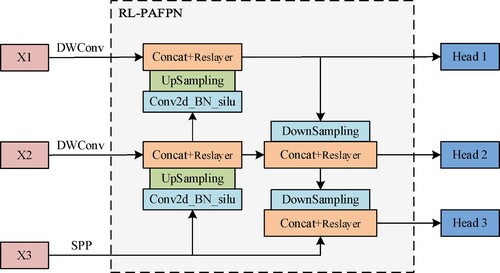 Figure 7. RL-PAFPN’s structure.