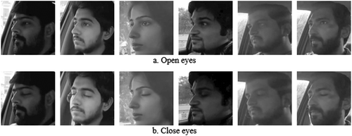 Figure 9. Extracted face images after face detection (open eyes, closed eyes).