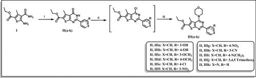 Scheme 1. Preparation of ethyl 2-aryl-5-methyl-4-morpholino- thieno[2,3-d]pyrimidine-6-carboxylate (IIIa–k). Reagents & Conditions: (i) Substituted aldehydes, HCl, DMF, reflux, overnight, 60–68%, (ii) POCl3, reflux, 6 h, 50–70%, (iii) Morpholine, absolute ethanol: absolute isopropanol (1:1), reflux, 4 h, 75–85%.