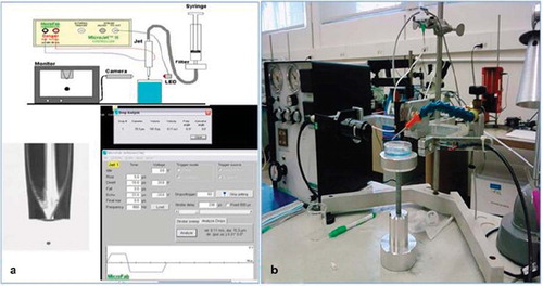 Figure 1. (a) Inkjet printing equipment and software interface. Shown on the left is an image of the sodium alginate jet. Captured on the right is an image of the waveform, waveform parameters, and the results of the motion analysis software (below). (b) The actual physical SJSU set-up.