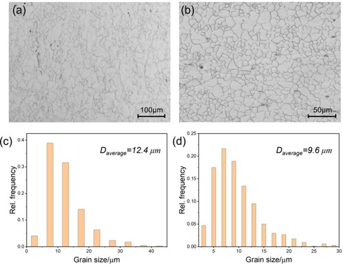 Figure 1. (a,b) Microstructure and (c,d) grain size distribution of the original (a,c) pure Mg plate and (b,d) AZ31 Mg alloy plate.