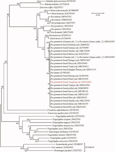 Figure 1. Phylogeny of the subfamily Bovinae based on the maximum-likelihood analysis of the concatenated sequences of 13 mitochondrial protein-coding genes (alignment size: 11,370 bp). The best-fit nucleotide substitution model is ‘GTR + G+I.’ The bootstrap support values next to the nodes are based on 100 random runs.