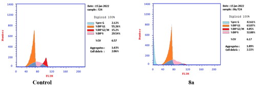 Figure 8. Effect of compound 8a (3.36 μM) on DNA-ploidy flow cytometric analysis of T-24 cells after 24 h.
