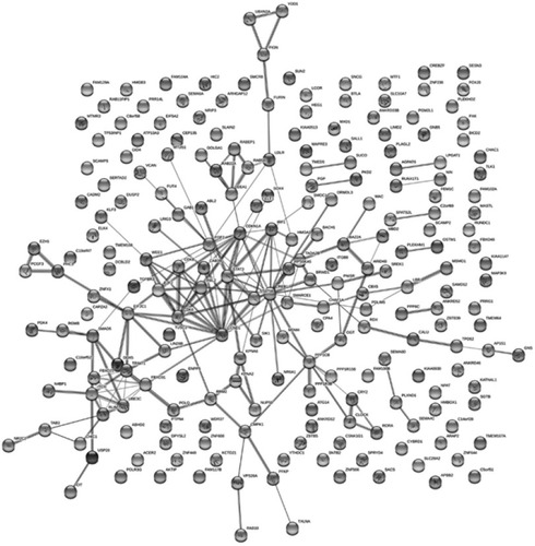 Figure 5 Network diagram based on genes obtained from predictions made in the coding sequence (CDS) of mRNA.