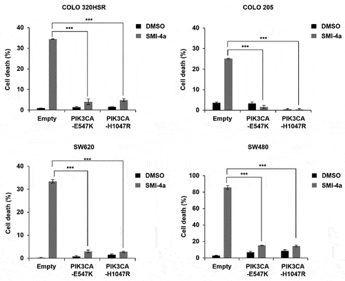 Figure 3. Overexpression of mt PIK3CA induces resistance to SMI-4a treatment. PIK3CA-E547K and PIK3CA-H1047R were overexpressed in four (COLO 320HSR, COLO 205, SW620, and SW480) PIK3CA WT CRC cell lines, and cell death rates evaluated after 72 h of 30 μM SMI-4a treatment, by trypan blue exclusion assay. ***p < .001 indicates significantly different from control group. Experiments were repeated three times in triplicate.