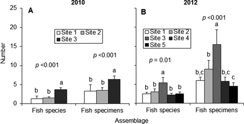 Figure 7 Mean (+SE) values and associated p values of fish species richness and specimen abundance for (a) 2010 and (b) 2012. Lowercase letters denote statistically distinct groups (one-way ANOVA with post hoc Tukey test). n.s. = not significant