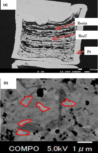 Figure 1. (a) Cross-sectional view of synthesized sample that looks like cloud in Pt capsule (white). Dark smooth part in white-grey sample is epoxy resin. Scale bar at bottom right is 100 μm. Initial outer diameter of Pt capsule is 2 mm, and it is about 3 mm in height. (b) Magnified SEM photograph.
