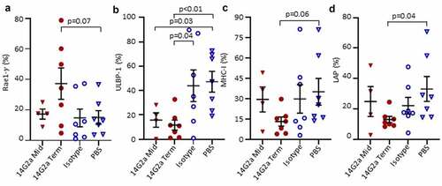 Figure 4. Surface expression of NK ligands on TH-MYCN+/+ neuroblasts. Tumors from 14G2a midpoint (Mid), 14G2a terminal (Term), Isotype, and PBS-treated TH-MYCN+/+ mice were isolated. Single cell suspensions were immunostained and CD45-, GD2+, live cells were analyzed for cell surface expression of specified NK Ligands. (a-d) Retinoic acid early-inducible protein 1-γ (Rae1-γ), UL16 Binding Protein-1 (ULBP-1), Major Histocompatibility Complex Class I (MHC-I), and Latency Associated Peptide (LAP) expression on live, CD45-, GD2+ neuroblasts is shown. Bars show the mean and standard error of the mean. Groups were compared with Students t-test with significance set as p ≤ .05.