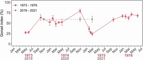 Figure 6. Mean gonad index for adult (>100 mm) Haliotis iris in Peraki Bay, Banks Peninsula, New Zealand from 1973 to 1976 (red, n = 7–25), and 2019–2021 (grey, n = 10–15 per sapling event).