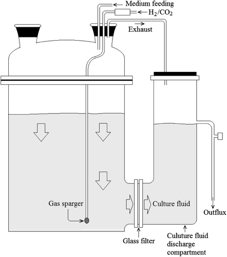 Fig. 1. Schematic structure of CF for the cultivation of C. acetobutylicum KCTC1037 under an anaerobic H2 atmosphere.