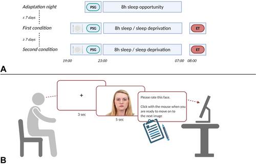 Figure 1 Experimental scheme. (A) Order of experimental conditions. (B) Overview of the eye-tracking paradigm.