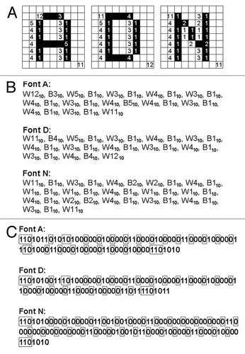 Figure 3. The model “password” encoded by a RLE system (Wyle encoding system). (A) The run-lengths consisting the fonts of model letters A (left), D (middle) and N defined on the 9 × 9 block-square were counted. (B) The blocks of black and white colors were converted to run-lengths. The numbers shown are in decimal. (C) The run-lengths forming the letter fonts were expressed with Wyle encoding system. Boxed numbers, prefixes, other number, run-length. The numbers shown are binary.