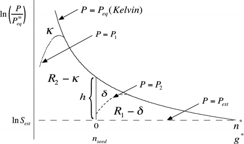 FIG 8 Area construction similar to Figure 1 but illustrating the effect of interactions that lower the equilibrium vapor pressure relative to the Kelvin curve (solid curve). The dotted curve, which only departs from Kelvin at the smallest cluster sizes, results in a lowering of the barrier height for homogeneous nucleation to R 1+R 2−κ. The dashed curve shows lowering of the heterogeneous barrier from R 1 to R 1−δ. Here, h is the length of the vertical line segment (Equation (S18)). Note that the abscissa (upper scale) has been shifted in the heterogeneous case to tally only the number of molecules of condensed working fluid. The lower scale, which runs out to g*, applies to the homogeneous case.