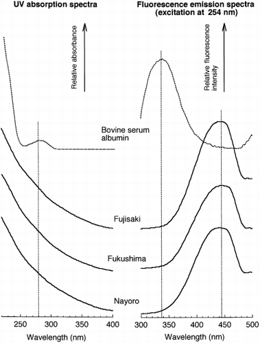 Figure 2  Ultraviolet (UV) absorption spectra and fluorescence emission spectra obtained for bovine serum albumin and the broad peaks of whole neutral phosphate buffer (NPB) extracts.