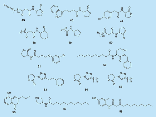 Figure 13.  Synthetic N-acyl homoserine lactone analogs.
