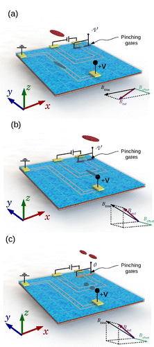 Figure 6. (Colour) Sequence for controlled splitting of a BEC via opening a quantized conductance channel in a U-shaped 2DEG conductor (towards the far right region of the blue plane), bounded by the grey insulating lines fabricated in the 2DEG. The conductance of the U channel is controlled by a negative voltage applied to two pinching gates pinching gates, one located at each side of one of the channel arms. (a) A BEC (red) is trapped by a magnetic trap made by a current-carrying Z-shaped 2DEG conductor defined on a 2DEG and an external magnetic field (magenta arrow) that provides the bias and offset fields. (b) The BEC is moved above the middle arm of a U-shaped conductor by adjusting the current in the Z channel (via the voltage V) and tilting the external magnetic field. The vertical position of the trap centre is adjusted to z=0.7μm. The voltage applied to the two surface pinching gates (blue patches near the upper-right corner of the 2DEG plane) is negative enough to depopulate all conduction channels, preventing current through the U-shaped channel. (c) Reducing the magnitude of the negative voltage applied to the pinching gates (i.e. -V<0→-V=0, as indicated by changing the colour of the pinching gates from blue to orange), one quantized conduction channel in the U conductor is opened to let current flow. The small local magnetic field created by this current splits the BEC. The shadow of the BEC over the chip surface is added to guide the eye.