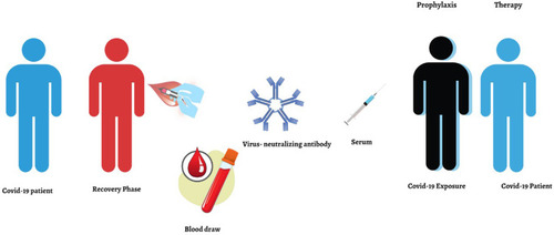 Figure 4 Infographics are showing the mode of convalescent plasma therapy for the treatment of COVID-19.