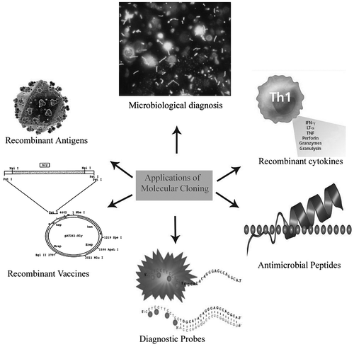 Figure 1. Overview of wide application of molecular cloning.