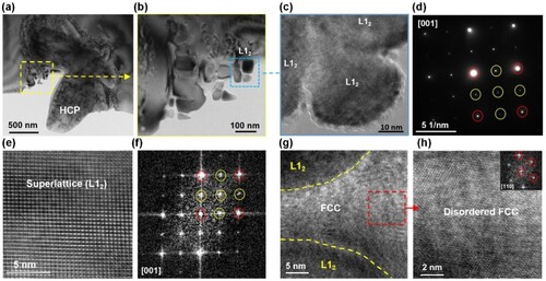 Figure 6. TEM images of L12 and FCC phases. (a) BF-STEM image of the EBPBF sample shows HCP phase and L12 phase. (b) Enlarged view of L12 nanoparticles phase. (c) HRTEM image of the L12 phase. (d) The corresponding SAED pattern of L12 phase in figure c, which shows obvious superlattice diffraction spots (yellow circle). (e) HRTEM image shows the superlattice of the L12 phase. (f) The corresponding FFT pattern of figure e also shows the superlattice diffraction spots. (g) FCC matrix between L12 phases. (h) HRTEM image of FCC phase and corresponding FFT pattern.