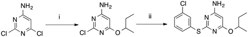Scheme 1. Synthesis of RDS 777. (i) sec-BuOH, Na, reflux, 4 h, 50% Citation12,Citation13; (ii) 3-chlorothiophenol, Pd2(dba)3, DPPF, DIPEA, DMF, reflux, 6.5 h, 68.33%.