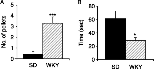 Figure 2  Behavioural responses of SD and WKY rats during an open field trial. (A). The histogram illustrates the mean number of faecal pellets excreted by SD (filled bars, n = 10) and WKY (hatched bars, n = 10) rats during the 10 min open field trial. (B). The total duration of time (seconds) spent by SD (n = 10) and WKY (n = 10) rats in the exposed inner zone of the open field arena. Values are mean ± SEM. *indicates p ≤ 0.05 and ***indicates p ≤ 0.001.