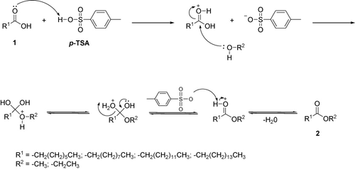 Scheme 2. Mechanism of ester synthesis.