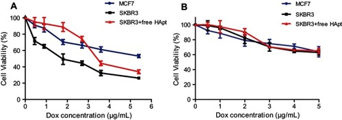 Figure 8 Cell viability of MCF7 and SKBR3 cells incubated with MSN-BM/CD-HApt@DOX (A) or MSN-BM/CD-NCApt@DOX (B) in the absence/presence of free HApt (1 μM) for 24 h. Cells were incubated with various concentrations of MSN-BM/CD-HApt@DOX or MSN-BM/CD-NCApt@DOX for 4 h, and then with fresh complete media for 20 h. To assay HER2 receptor inhibition, cells were pretreated with free HApt (1 μM) for 30 min, co-incubated with MSN-BM/CD-HApt@DOX or MSN-BM/CD-NCApt@DOX for 4 h, and then cultured in fresh complete media for 20 h. Cell viability was measured using the CCK-8 assay. Data are mean ± SD (n = 5).Abbreviations: MSN, mesoporous silica nanoparticles; BM, benzimidazole; CD, β-cyclodextrin; HApt, aptamer; DOX, doxorubicin.