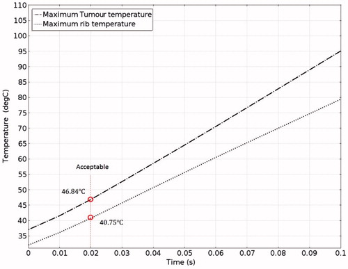 Figure 25. Temperatures of the ribs and the tumour after a 0.1-s ablation.