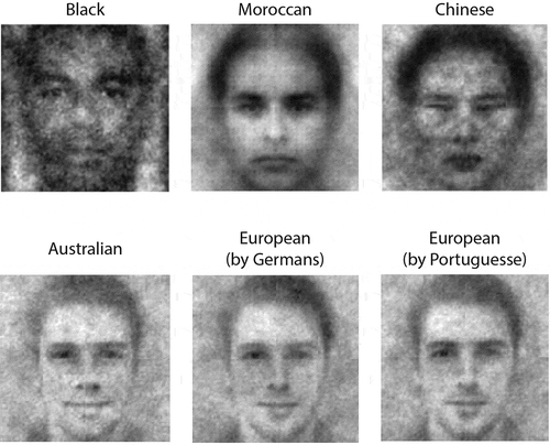 Figure 4. CIs of Black, Moroccan, Chinese, Australian and European faces (adopted from Dotsch et al., Citation2008, Citation2011; Imhoff et al., Citation2011; Krosch & Amodio, Citation2014), figures adopted with permission.
