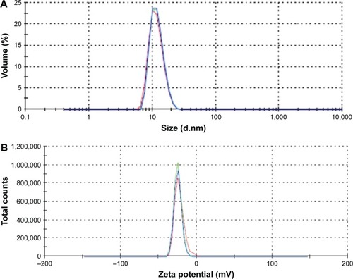 Figure 2 Representative analysis of berberine-loaded mixed micelles.Notes: Mean (A) droplet size; and (B) interfacial electrical charge (measured as ζ-potential), of 3:1 PEG-PE:TPGS-mMic loaded with 1.92±0.15 mg/mL of Brb (n=4).Abbreviations: PEG-PE, 1,2-Distearoyl-sn-glycero-3-phosphoethanolamine-N-[methoxy(polyethyleneglycol)-2000]. TPGS, d-α-tocopheryl polyethylene glycol 1000 succinate; mMic, mixed micelle; Brb, berberine.