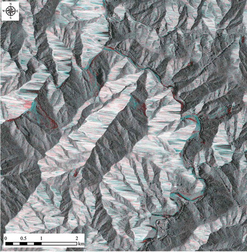 Figure 8. Orthorectified multi-look amplitude COSMO-SkyMed image of test site (red: 29 July 2010; green and blue: 11 September 2011).