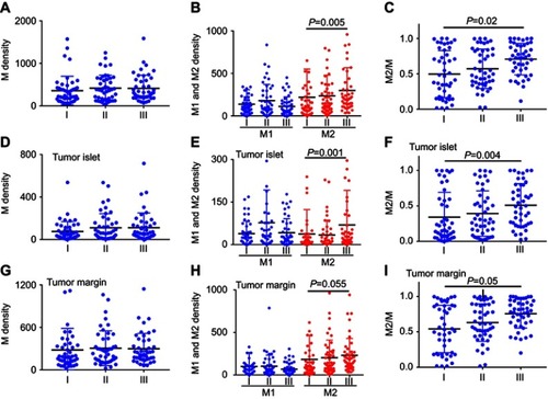 Figure 2 Distribution of macrophages in different tumor stages. (A-C) Represents the global distribution of macrophages. (D-F) Represents the distribution of macrophages in tumor islet. (G-I) Represents the distribution of macrophages in the stroma. Density = cell number/3.6×10Citation5, m2. P<0.05 indicates statistical significance.Abbreviations: M, total macrophages; M1, M1 macrophages; M2, M2 macrophages.