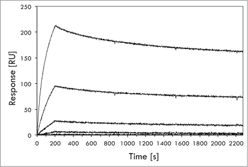 Figure 5. Biosensor-based affinity determination of the ZIL-6_13 variant for IL-6. The affinity of affibody variant ZIL-6_13 to IL-6 was determined in a ProteOn biosensor instrument (BioRad). The affibody variant, expressed as an His6-Z fusion, was immobilized onto a sensorchip via primary amine coupling chemistry followed by injections of different concentrations (0.08, 0.40, 2.0, 10 and 50 nM) of IL-6 and the responses recorded (see Materials and Methods section for details). The experiment was performed in triplicate, using separate sensor chip surfaces. A representative set of response traces (background buffer effect subtracted) are shown in the figure. The affinity (KD) was in this experiment determined to 4.97 ± 0.3 × 10−10 M, i.e., ∼0.5 nM (500 pM).