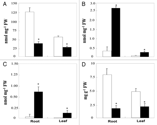 Figure 1 Nitrate (A), nitrite (B), ammonium (C) and soluble protein (D) contents in root and leaf tissues of aerated (□) and hypoxically treated (■) tomato plants for three weeks. Values are the mean of six replicates ± SD. *The significance of differences between the control and the treatment mean values was determined by the Student's t-test at the significance level of p < 0.05.