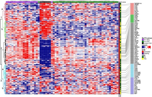 Figure 4. DC associated Blood Transcription Modules (BTM) confirmed an over-representation of immune activated genes for Prn-Neg stimulated moDCs compared to the stimulation with Prn-Pos strains. Heatmap representing a hierarchical clustering of all DC associated BTM gene counts (rows; z-scores, scaled and centered per gene) per individual moDC donors, stimulated with different B. pertussis strains (columns, Unstim-Ctrl moDCs (black); Prn-Pos (green) and Prn-Neg (purple) stimulated moDCs). BTM labeling represents genes associated with “Resting” (blue) or “Activated” (red) DC-related BTMs; DEG labeling, differentially expressed genes (padj < 0.05, Fold Change > ±1.2) between Prn-Pos and Prn-Neg stimulated moDCs. An educated selection of important immune related genes is shown in rows for better visualization. For a complete list, see Table S5.