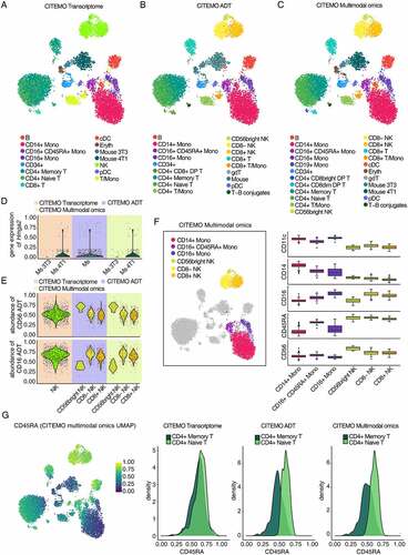 Figure 2. Characterizing heterogeneity with CBMC sample. (A-C) UMAP visualizations of clustering results. The annotation of cell clusters was analysed by CITEMO using transcriptome modality (A), ADT modality (B) and multimodal omics (C) data. (D) Violin plots of Hmga2 gene expression in mouse cell clusters. (E) Violin plots of CD56 (up) and CD16 (down) ADT abundance in NK cell clusters. Different background colours in (D) and (E) indicate that different modalities were used for clustering analysis by CITEMO. (F) The clustering results of NK cells and Monocytes obtained by CITEMO multimodal omics on the left, and the box plots on the right showing the different ADT abundance of the NK cells markers of CD56 and CD16, the Monocytes markers of CD11c and CD14, and a proliferating marker CD45RA in six distinct clusters. (G) A feature plot of CD45RA ADT abundance with CITEMO multimodal omics UMAP shown on the left, and the density distributions of CD45RA ADT in CD4+ Memory T cells and CD4+ Naïve T cells under the indicated modalities given on the right.