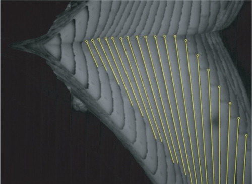 Figure 8. Inclination angle determination of the AUV.