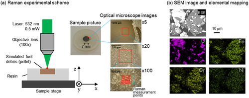 Figure 1. (a) Schematic illustrations of the Raman microscopy measurement and a picture of a molded sample and its optical microscope images with different magnifications. The red-marked points on the optical microscope ×100 image are sample measurement points. (b) Backscattered electron (BSE) SEM image of the 4 U-SUS simulated debris sample and elemental mapping data obtained using EDX spectroscopy.