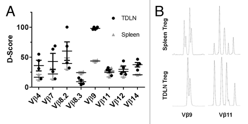 Figure 3. Regulatory T cell TCR diversity in tumor bearing mice. CD4+FoxP3+ Treg cells (104 cells) were purified by cell sorting from total splenocytes and TDLN cells in IC-1 tumor bearing mice. The diversity (D) scores for Treg isolated from splenocytes and TDLN were independently compared to a reference Treg population (containing 5×106 cells) which followed the expected Gaussian distribution. D scores for Vβ spectratype distribution profiles TDLN and splenocytes Treg for individual mice are shown together with mean ± S.E.M. Representative Vβ9 and Vβ11spectratype profiles are illustrated in B.