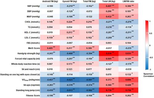 Figure 3 Correlations between body composition, cardiometabolic risk factors, and physical fitness.