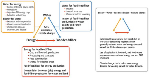 Fig. 3 The water–energy–food nexus as related to climate change. The interlinkages of supply/demand, quantity and quality of water, energy and food/feed/fiber with changing climatic conditions have implications for both adaptation and mitigation strategies in water management too (from Arent et al. Citation2014).