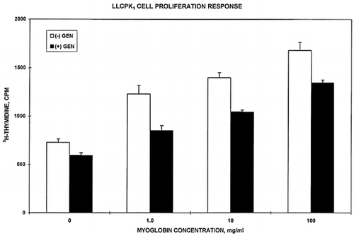 Figure 7. Effect of genistein on horse myoglobin-promoted 3H-thymidine uptake in LLC-PK1 cells. In these paired studies done in triplicate (n = 3), genistein (10−4M, solid bars) significantly decreased (P < 0.01) the effect of all concentrations of horse myoglobin to promote 3H-thymidine incorporation. The bars represent the mean ± SEM of cpm under control and after exposure to varying concentrations of myoglobin.