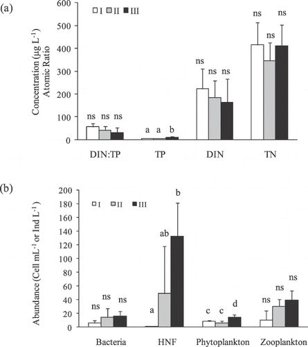 Figure 6 Long-term evolution of (a) DIN∶TP mass ratio; TP, DIN, and TN concentrations (µg L−1) and (b) bacteria (× 105 cell mL−1), phytoplankton (× 103 cell mL−1), zooplankton (ind L−1), and HNF abundances (× 102 cell mL−1). Error bars represent ± standard deviation (SD) of the mean. Period I: maximum depth > 10 m; Period II: maximum depth ranging from 4 to 10 m, Period III: maximum depth < 4 m. Significant differences at p < 0.05 between periods are indicated with letters.