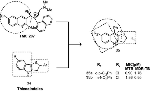 Figure 4. Design of 2,9-diaryl-2,3-dihydrothieno[3,2-b]quinolines (35).