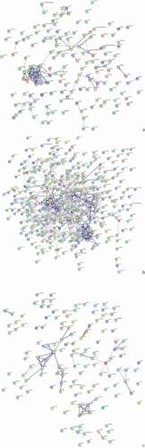 Figure 9. Protein interaction network analysis of DEPs of each comparison group. A: 15A-VS-15P; B: 15A-VS-15 T; C: 15P-VS-15 T. “ – ”activation; “ – ”inhibition; “ – ”binding; “ – ”catalysis; “ – ”phenotype; “ – ”posttranslational modification; “ – ”reaction; “ – ”transcriptional regulation; “→”positive; “—”negative; “ – ∙”unspecified.