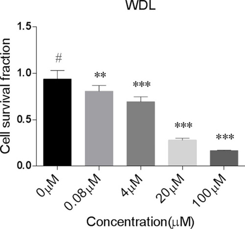 Figure 1 Cell survival fraction values as observed in HeLa in response to different doses of WDL. Significantly effective treatments compared to untreated control (shown as #) are indicated as ** (P<0.005) and *** (P<0.0005).
