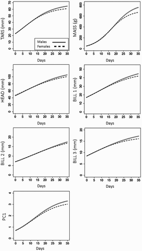 Figure 2. Logistic models used to quantify the growth rate function in the two sexes for each variable.