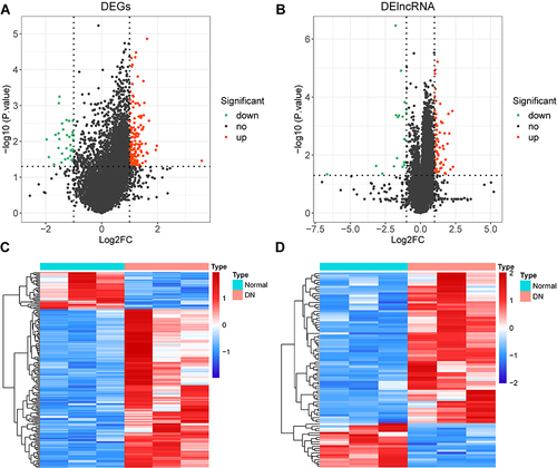 Figure 1 Differential expression analysis. (A) volcano plot of 185 DE-mRNAs between the DN and normal groups. (B) volcano plot of 88 DE-lncRNAs between the DN and normal groups. (C and D) clustering heatmap showed the expression pattern of DE-mRNAs (C) and DE-lncRNAs (D) respectively in the two groups (DN and control).