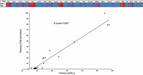 Figure 3. Correlation analysis of TCB-activation to the CAR-J assay. TCRL-Fab candidate 7915 is compared in TCB- vs. Fab-CAR-J-format. Target cells being pulsed with 10 µM of each peptide. Values represent the strength of activation, read out as luciferase signal and normalized to RMF-control, by each format upon co-incubation with T2-cells, pulsed with indicated peptides. Cross reactivity was tested on 22 POTPs and obtained signals (luminescence) were normalized to positive control (RMF). The graph of TCB-activation vs. CAR-J activation demonstrates the strong correlation between the two methods