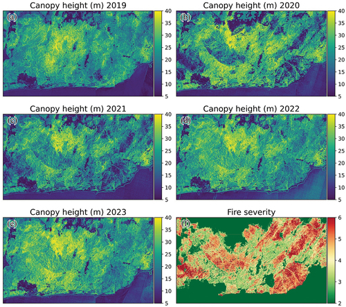 Figure 8. Canopy height maps predicted by CNN models using satellite images from 2019 to 2023 during March to June (a to e) and fire severity map (f) in East Gippsland. The year 2020 marked serious canopy height reduction (dark areas), which matched the high and extreme fire severity (bottom right), followed by a gradual recovery through 2021 to 2023.